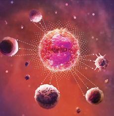 Oncology