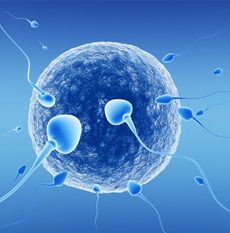 REPRODUCTIVE MEDICINE